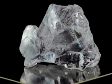 TAGS联袂Sodiam,首拍成交 1540 万美元