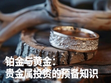 铂金与黄金:贵金属投资的预备知识