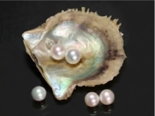 怎样分辨真假珍珠