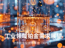 工业领域未来铂金需求展望 -世界铂金投资理事会(WPIC)