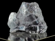 行业 | TAGS联袂Sodiam,首拍成交 1540 万美元